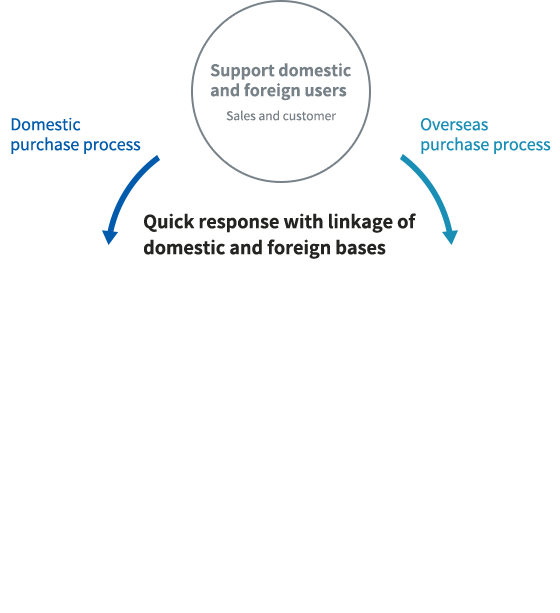 Domestic purchase process, Overseas purchase process